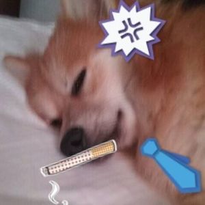 Meet your Posher, Adrian